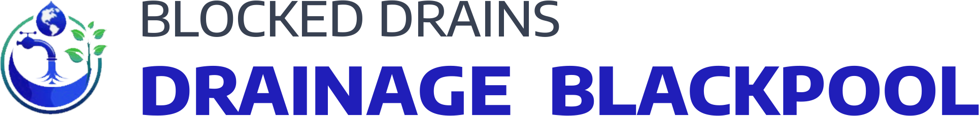 website logo